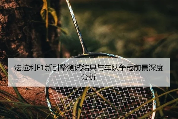 fa-la-li-xin-yin-qing-ce-shi-jie-guo-yu-che-dui-zheng-guan-qian-jing-shen-du-fen-xi-2-677.jpg